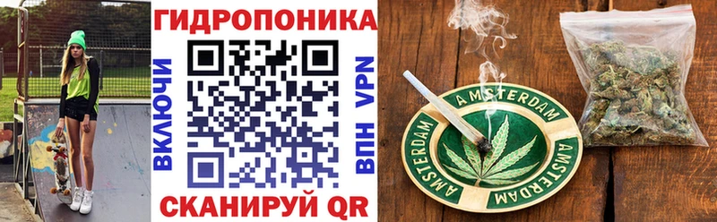 Бошки марихуана марихуана  Купить  Гусиноозёрск 